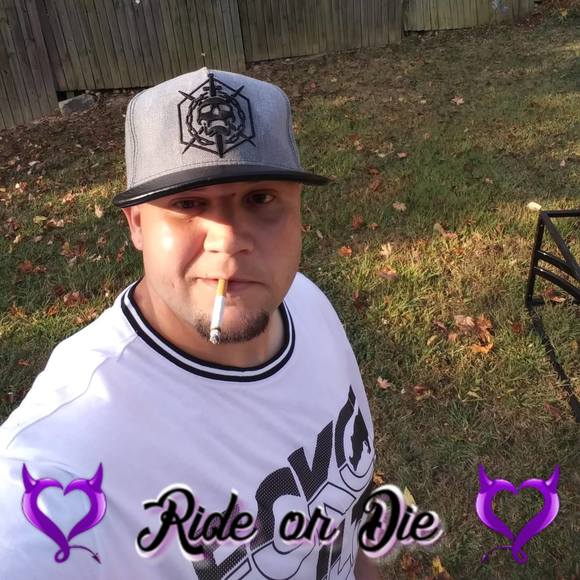 Meet your Posher, Rocco - Picture 1 of 1